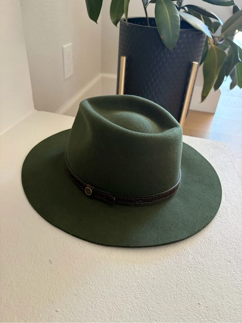 NWT Fallen Broken Street S/M Unisex Forest Green Dingo Wool Felt Hat Australia